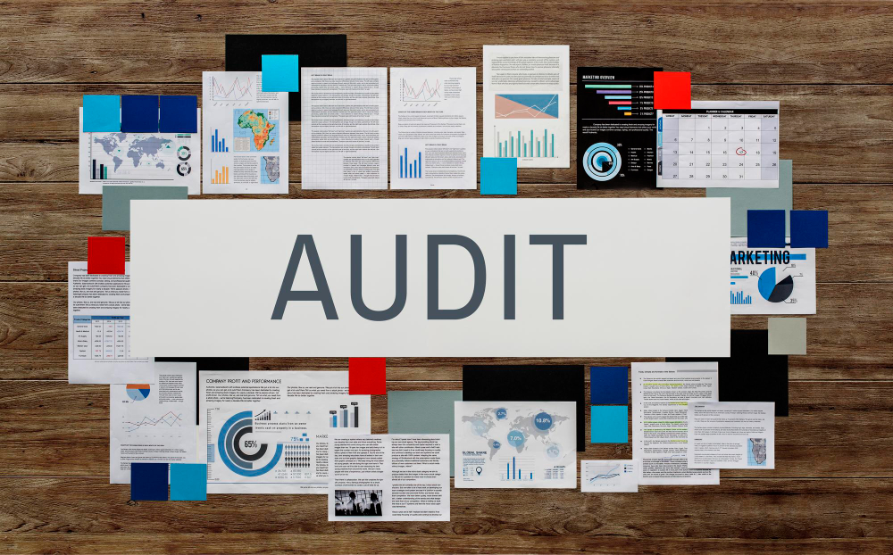 Society Audit Services